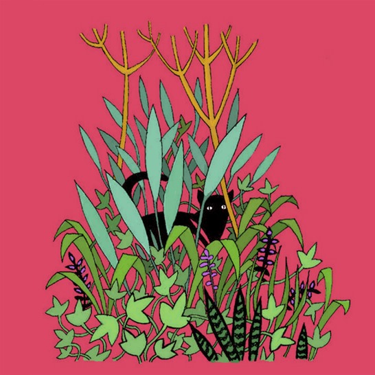 Chinese Story – Hs lớp 1 我的小猫猫在哪儿？