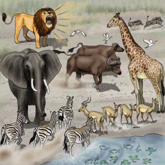 Chinese Story – Hs lớp 1 数数动物