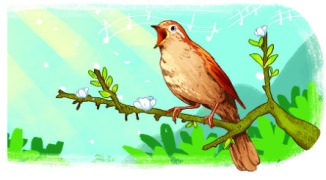 HOẠ MI HÓT (Tiếng Việt lớp 2 _kết nối tri thức)