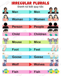Danh từ bất quy tắc trong tiếng Anh