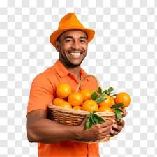 为什么柑橘家族是私生活最乱的水果？”Tại sao họ cam quýt lại là loại trái cây có đời sống riêng tư hỗn loạn nhất?”